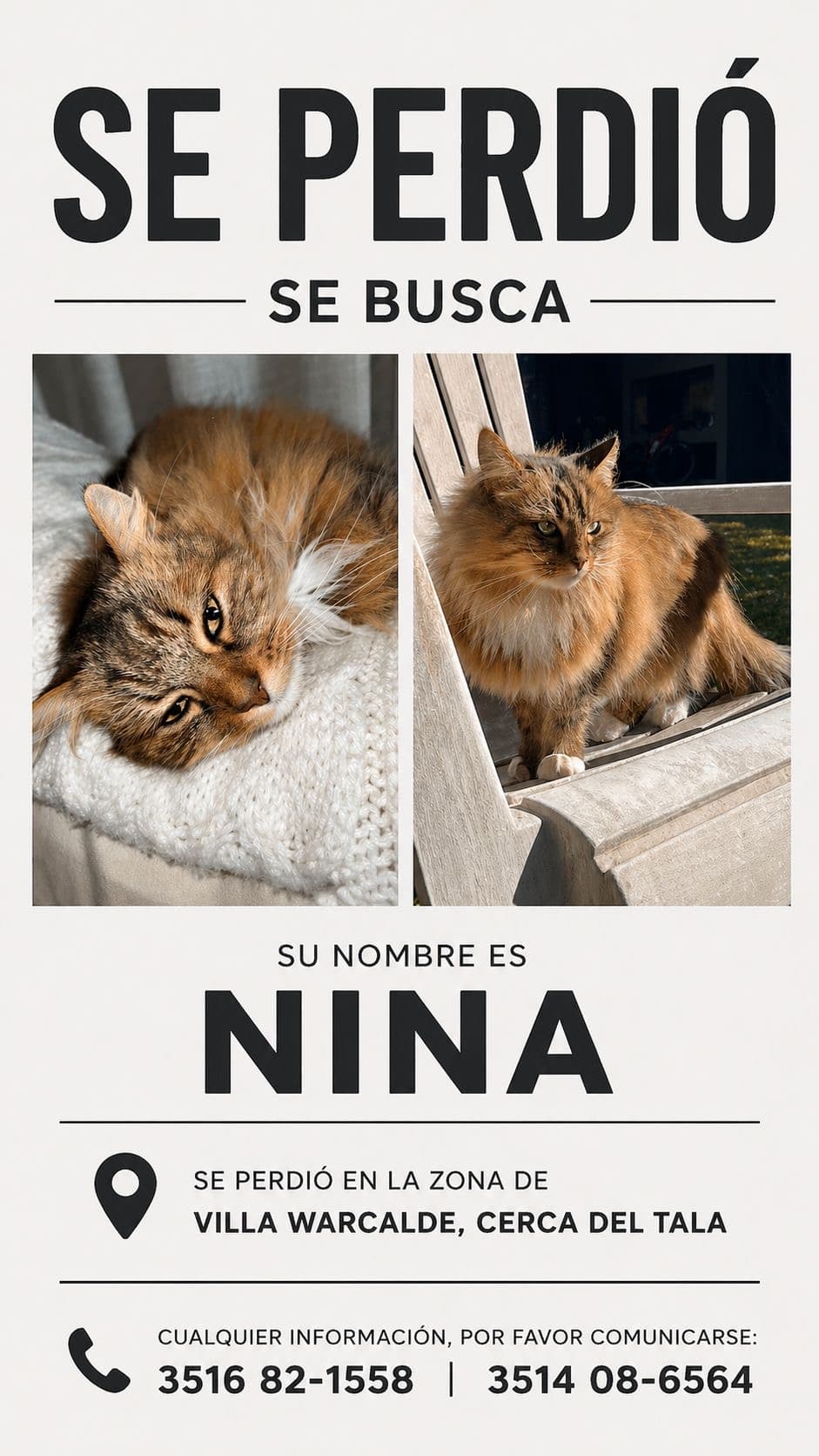 Nina