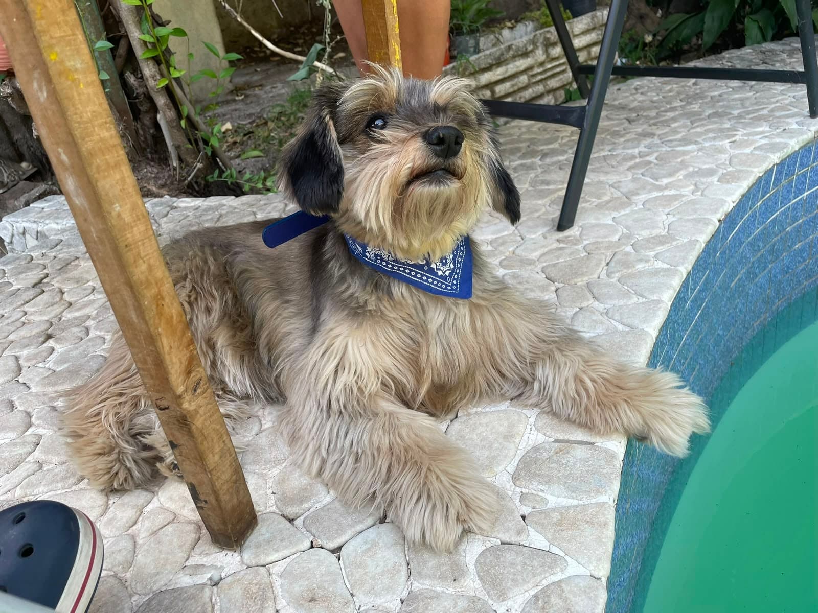 Bella