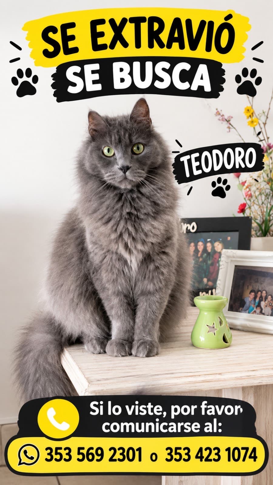 Teodoro
