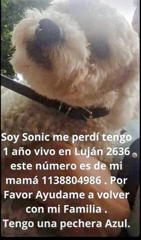 Sonic