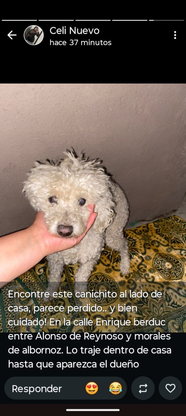 Machito