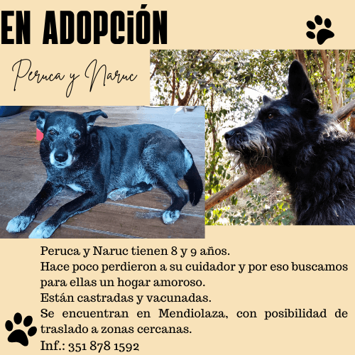 Peruca y Naruc