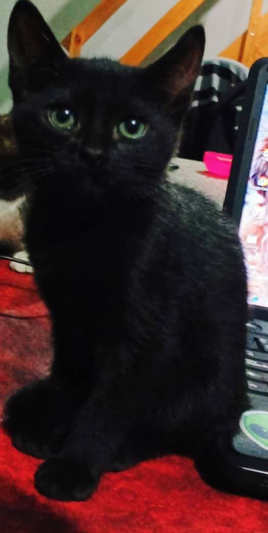 Lucifer
