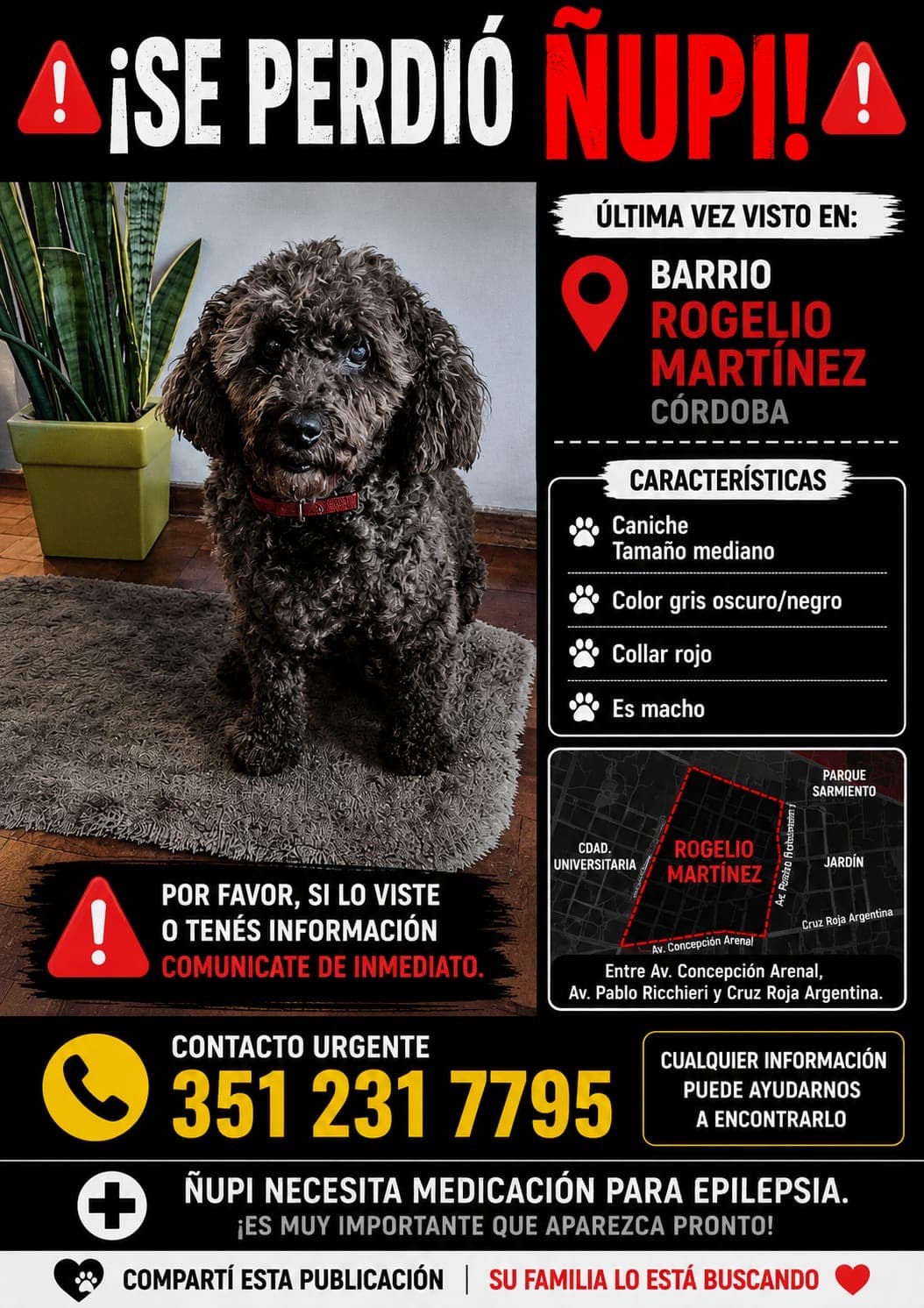 Ñupi