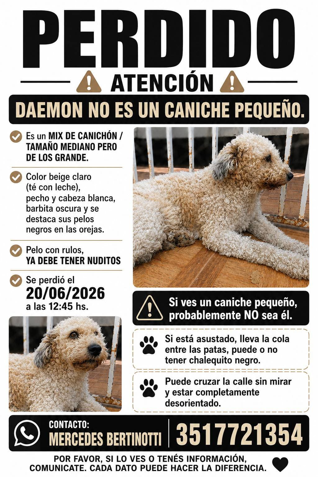 DAEMON