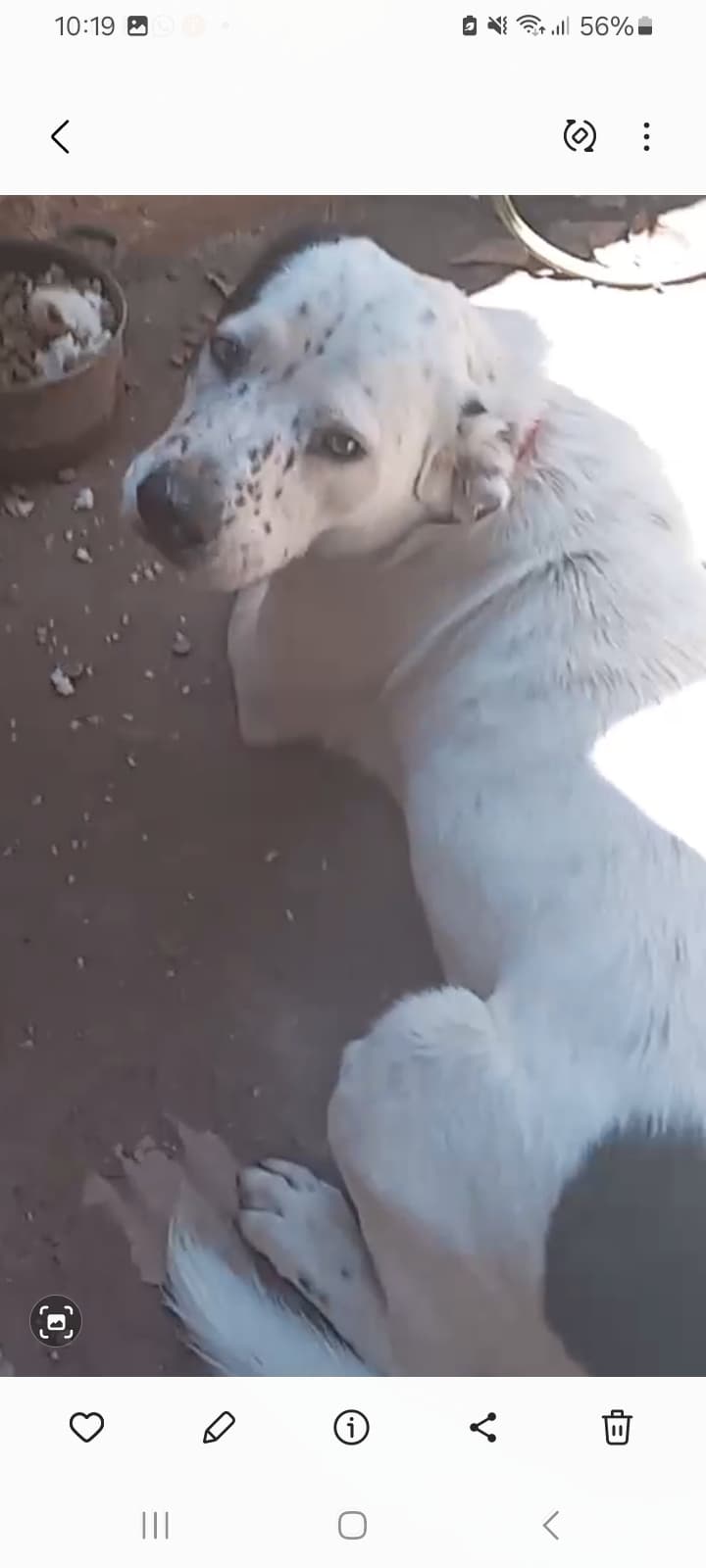 CHARLIE
