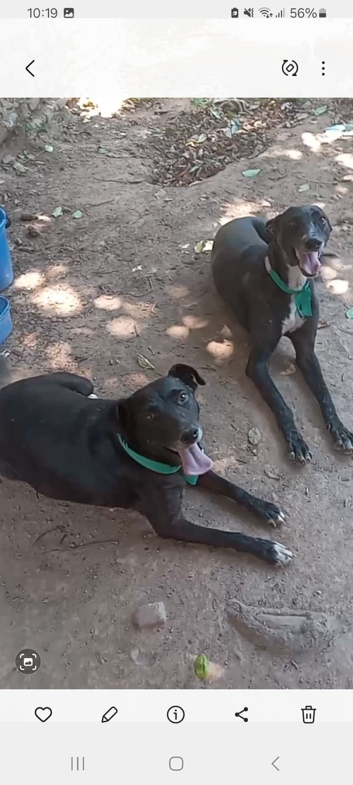DULCE Y JULIAN