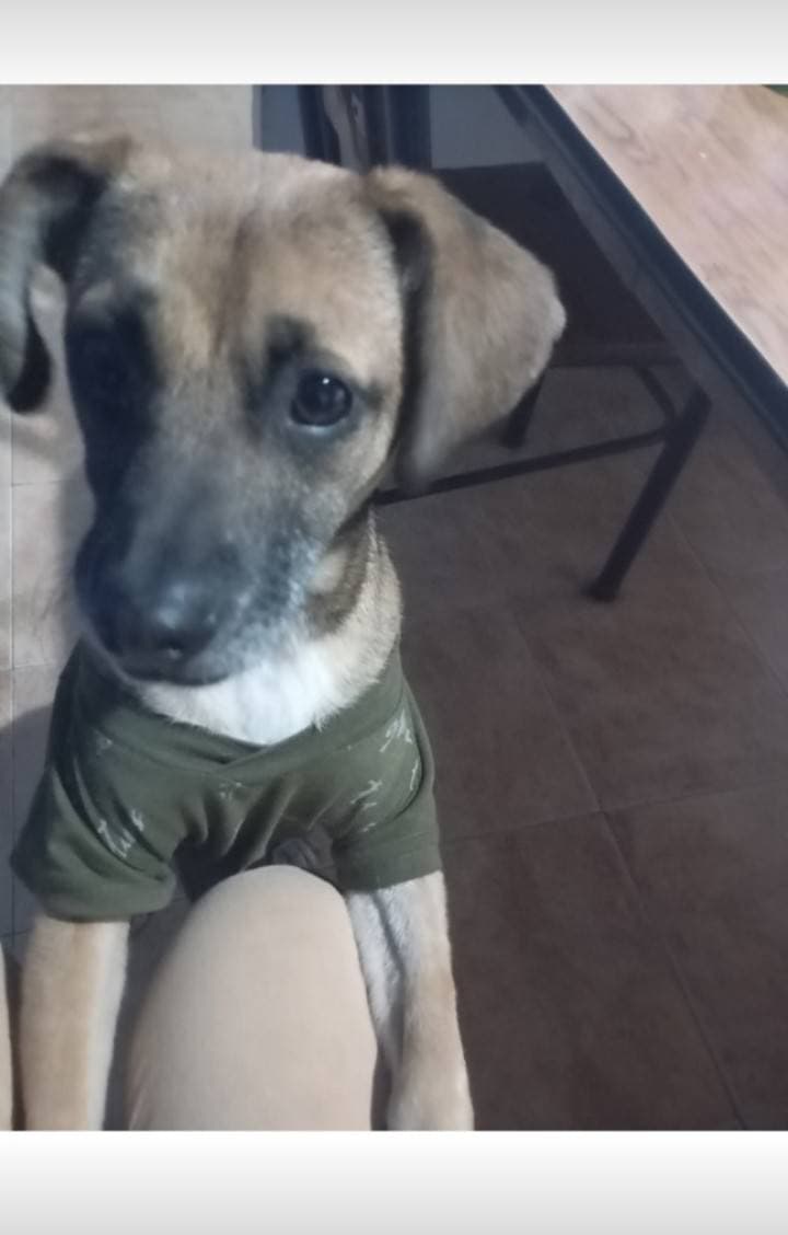 Dulce
