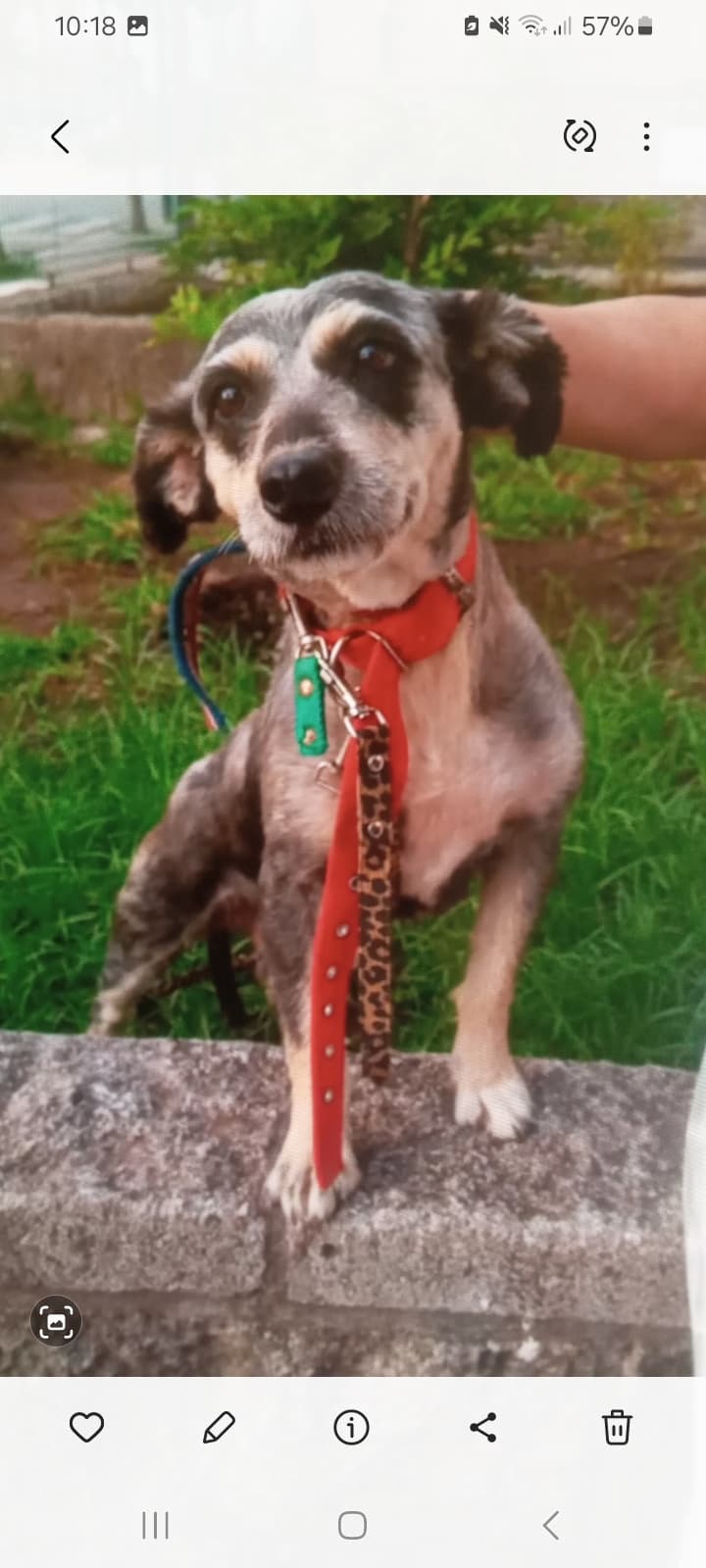 RUFINA