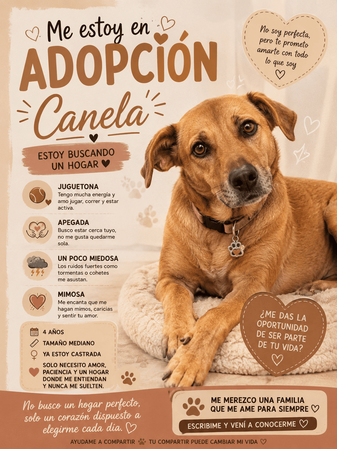 Canela