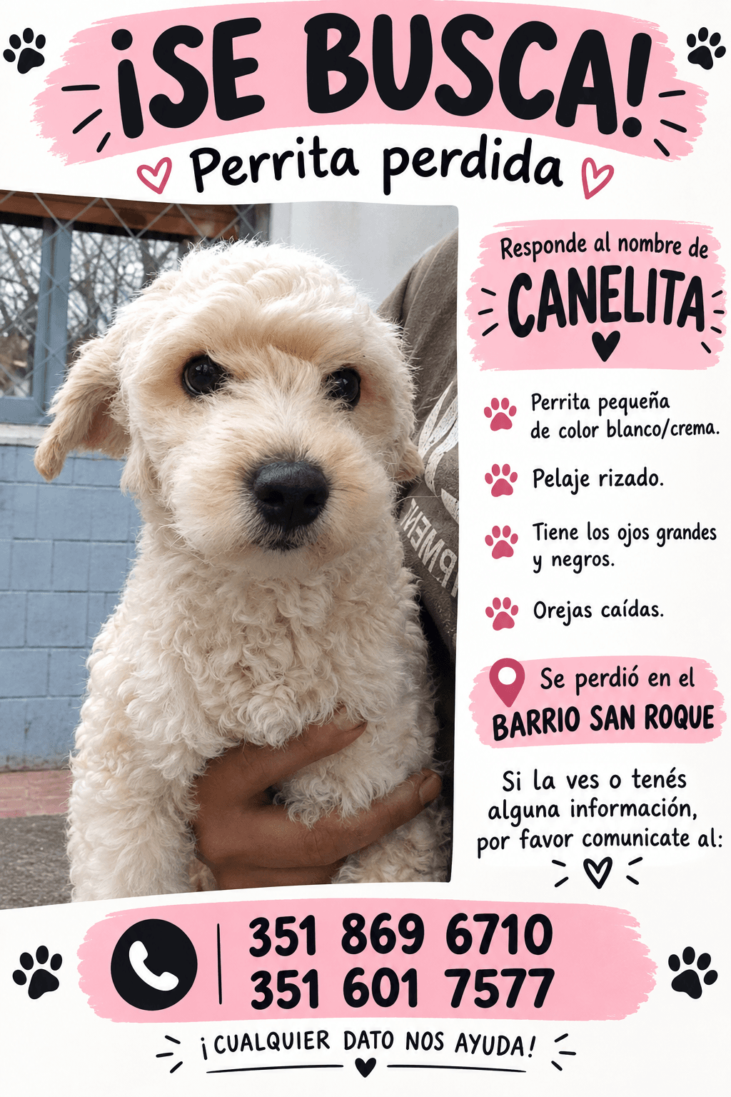 Canelita